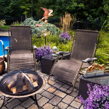Patio Deck & Yard