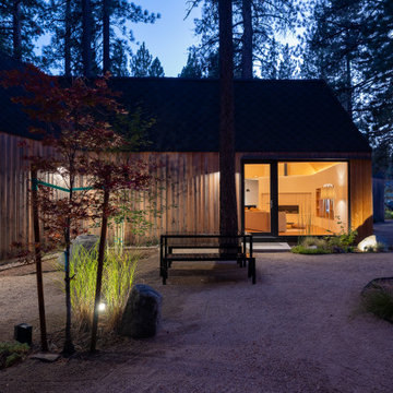 Backyard at Dusk