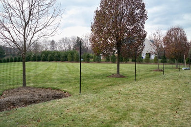 This is an example of a traditional landscaping in Philadelphia.
