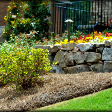 Annual Beds