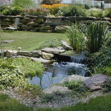 Backyard Spaces