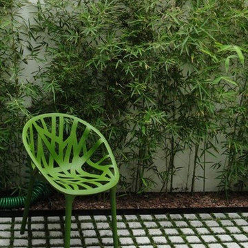Patios y terrazas
