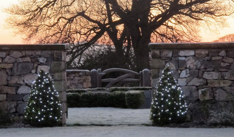 7 Garten-Ideen, die im Dezember Freude machen