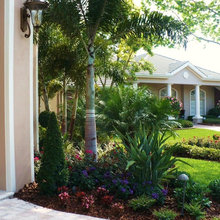 Planting Ideas