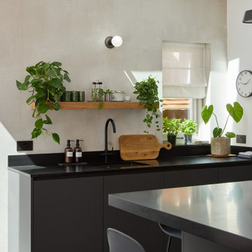 Kitchen Extension in Dulwich Village