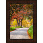 Tangletown Fine Art - "Country Road II" By Dean Fikar, Framed Wall Art, Ready to Hang - Nature photography is a lovely way to bring a bit of outside into your home. The use of color and definition in Dean Fikar's fine art prints will stand the test of time in your home decor.