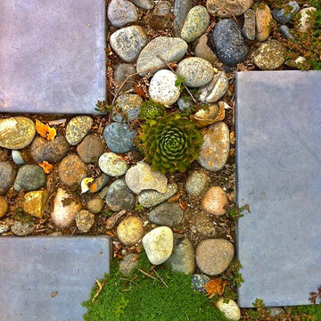 Small Bungalow Landscape
