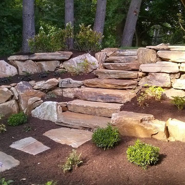 Back Yard Renovation