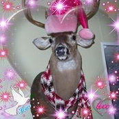 Rhonda Struck's photo
