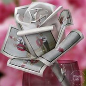 Tara Neves's photo