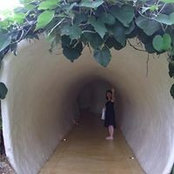 Meiko Maruyama's photo