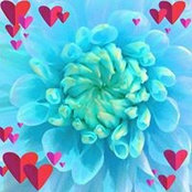 Foto von Turquoise Turquoise
