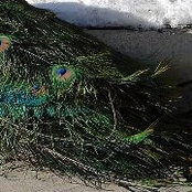 Anne Sams's photo