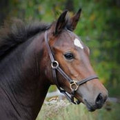 Patti Murphy's photo