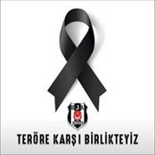 Pelin Erçelik's photo
