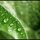 webuser_57638
