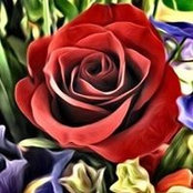 Linda Holcomb's photo