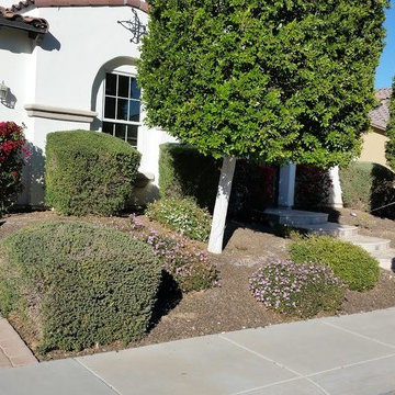Landscape Design