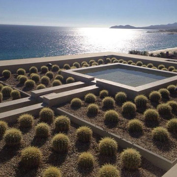 Cabo San Lucas Roof Garden