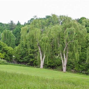 Chipping