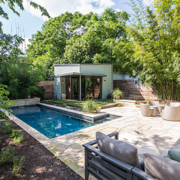 Hyde Park Modern Retreat - Back Yard