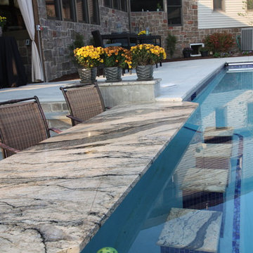 Swim Up Bar