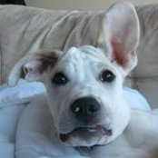 Liz Schroeder's photo