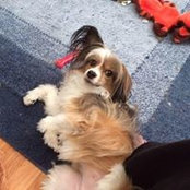 Debby Dix's photo