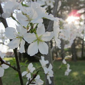 Kara Bee's photo