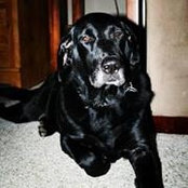Jenny Poston Humphries's photo