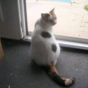 Sheila Halterman's photo