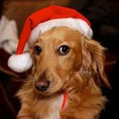 Michael Branning's photo