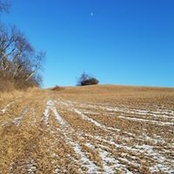 Rich Belanger's photo