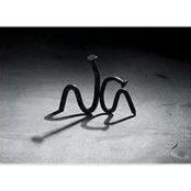 Tanviet Arc's photo