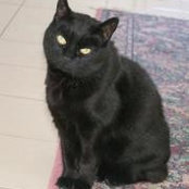 Joan Ferris's photo
