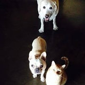 Christi Cormier's photo