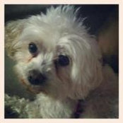 Tonya Andersen's photo