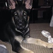 Ashlee Ferguson's photo