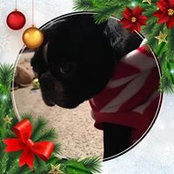 Tiffany Urias's photo