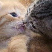 Terry Alers's photo