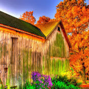 Tara H's photo