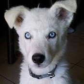 Regan Carpentier's photo