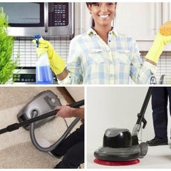 Teani's Home Improvement and Cleaning LLC