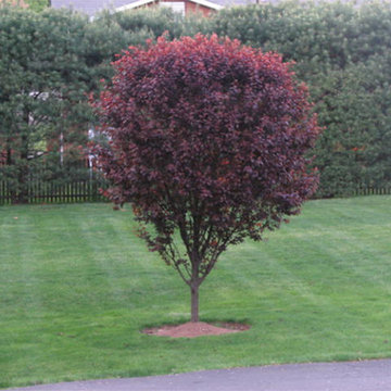 Superior lawns and landscaping ,inc Project