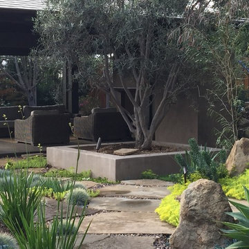 Pool - Pavilion - Paradise