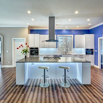 Colfax Contemporary Kitchen . Nar Fine Carpentry . Sacramento . El Dorado Hills