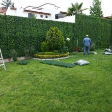 privacy wall