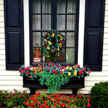 Window Boxes