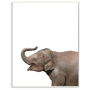 Baby Elephant Studio Photo, Plaque, 10"x15"