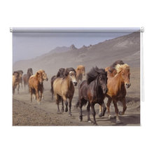 Window Blinds / Coverings